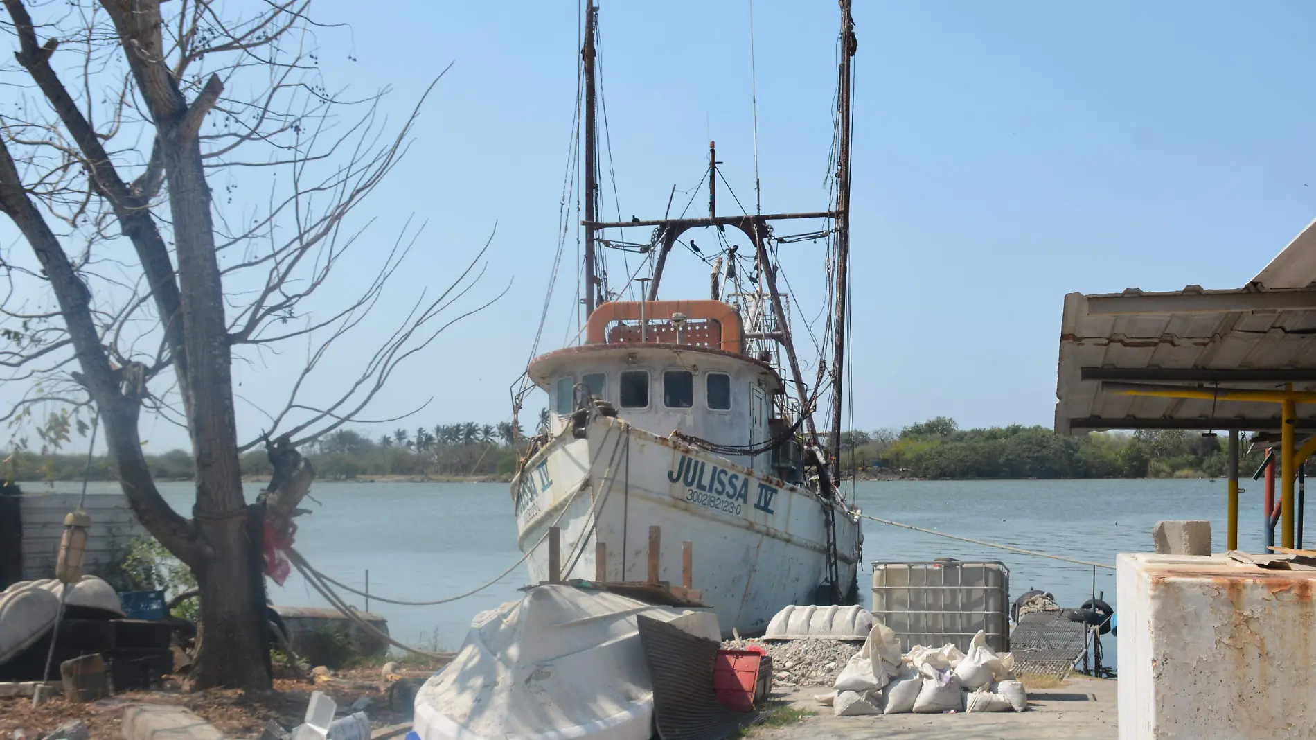 Los barcos camaroneros forman parte del paisaje de la colonia Morelos de Tampico